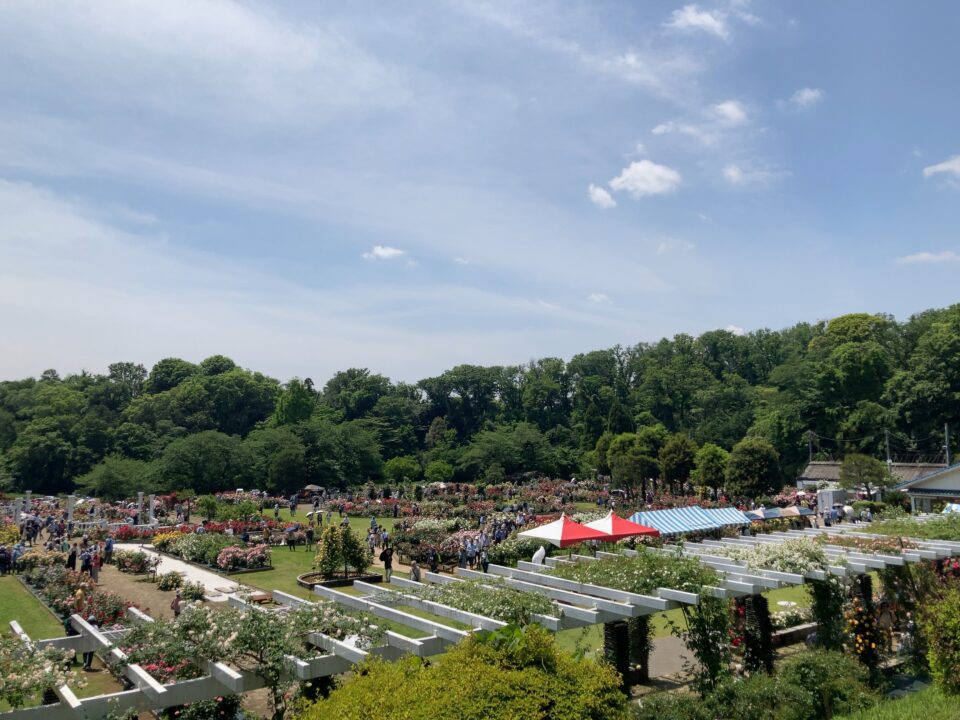 生田緑地ばら苑